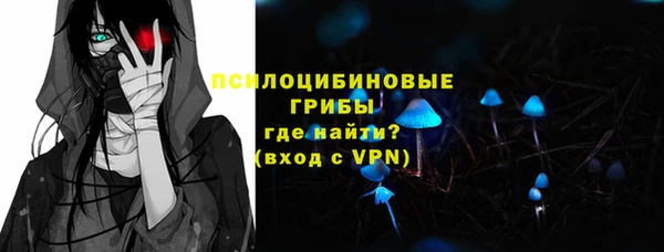 МДПВ Абаза